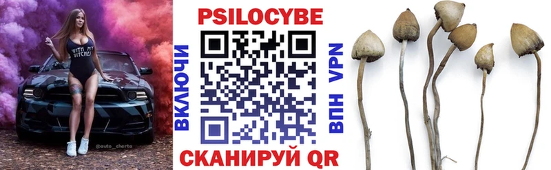 Галлюциногенные грибы мицелий  продажа наркотиков  Курганинск 